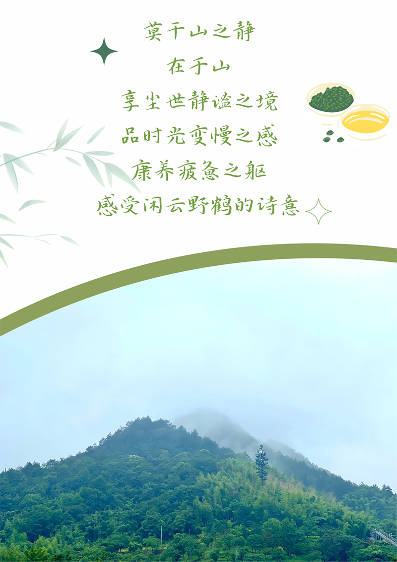 心心念廿 相伴PA视讯 | 与德清相约 贺廿载诞辰