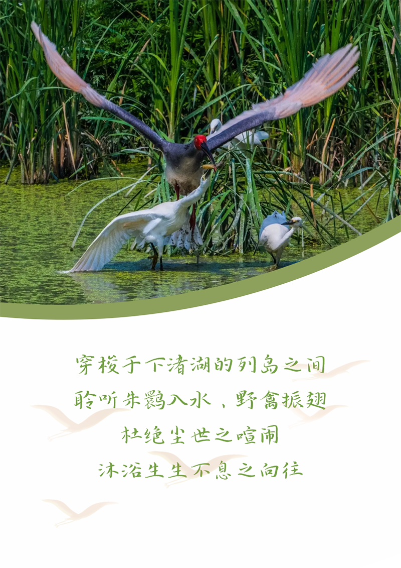 心心念廿 相伴PA视讯 | 与德清相约 贺廿载诞辰